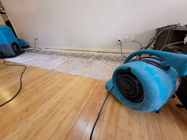 Professional Basement Flood Cleanup technician working in Enumclaw, WA